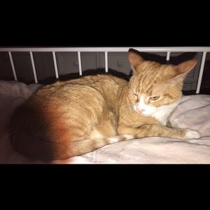 Meet your Posher, Karie